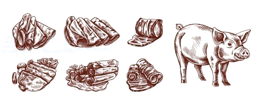 Hand drawn vintage sketch of pig and ham slices in monochrome brown engraving style, isolated illustration vector