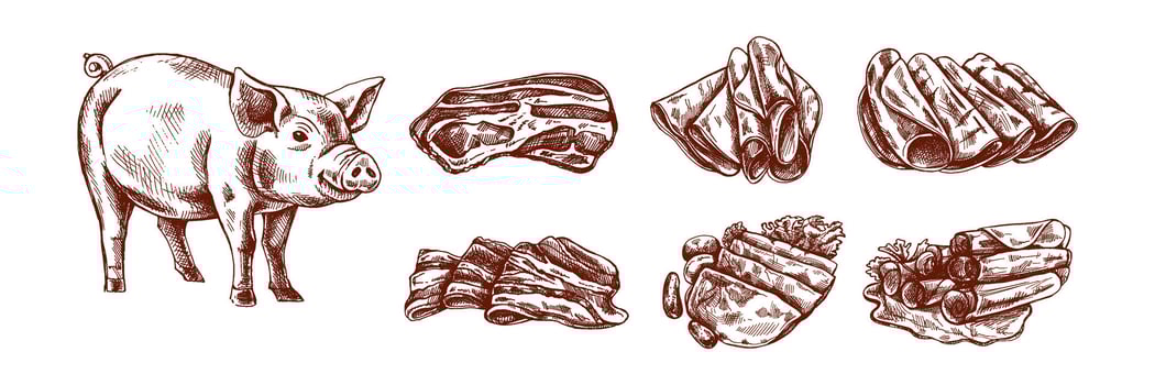 Hand drawn vintage sketch of pig and pork meat assortment in brown monochrome style, isolated food set illustration vector