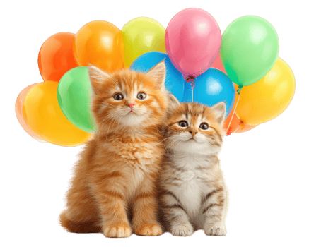 Two adorable kittens sit together in front of colorful bunch of balloons, creating cheerful and playful atmosphere perfect for celebration or party themes png