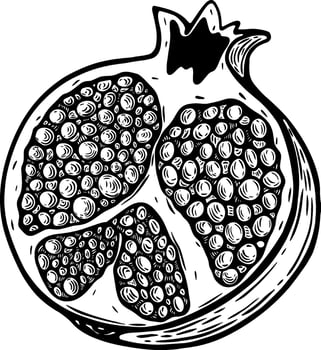 Pomegranate Cut in Half Detailed Hand-Drawn Illustration vector
