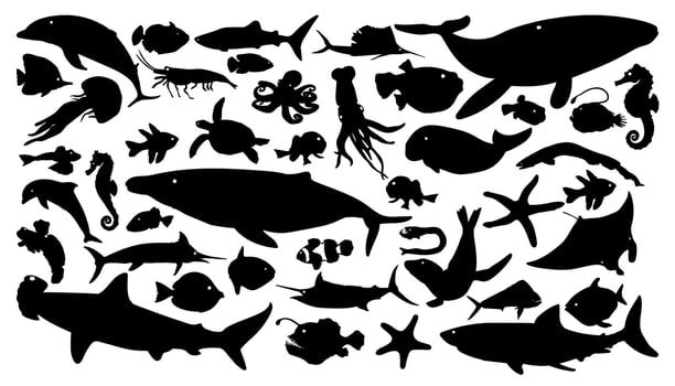 sea animal silhouette collection set vector