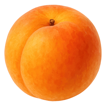 Fresh Natural Peach with Soft Skin and Vibrant Orange Color png