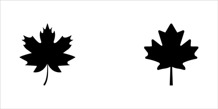 Maple leaf simple flat icon, , Illustration vector
