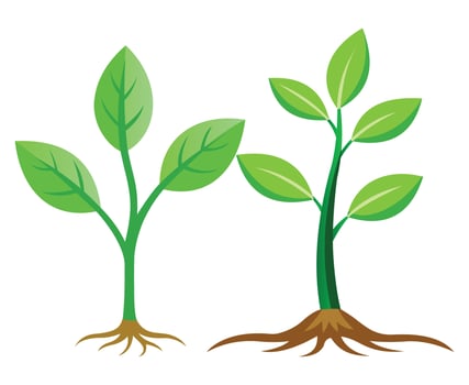 Two Young Plants with Green Leaves and Brown Roots Illustration vector