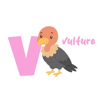 Vulture letter v alphabet animal illustration for kids education. Cute cartoon scavenger bird on white background. Alphabet flashcard. Vulture drawing. vector