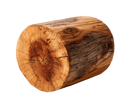 Wood log timber natural texture brown rough surface isolated transparency background rustic organic cylindrical shape detailed grain pattern png