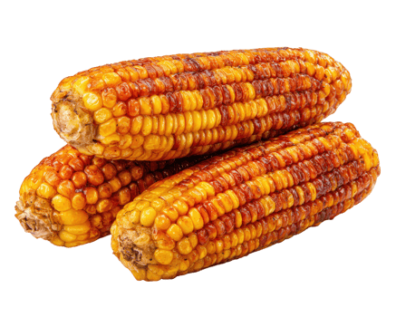 Grilled corn roasted corn yellow corn isolated transparency background food vegetable snack closeup delicious png