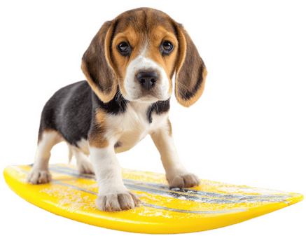 Beagle dog standing on yellow surfboard, playful puppy isolated on transparency background, cute pet with curious expression, fun and energetic vibe png