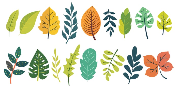 Colorful leaves collection for design vector