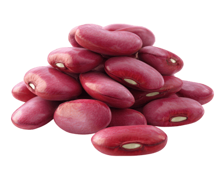 Red kidney bean close up isolated on transparency background, fresh and natural food ingredient with smooth texture and vibrant color, perfect for healthy cooking and nutrition png