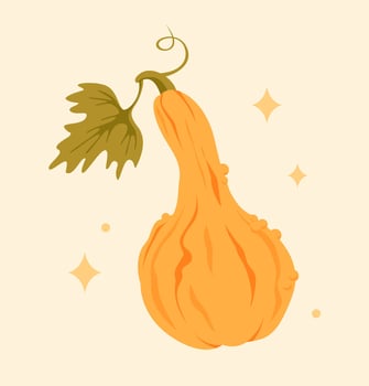 Warm illustration of a cute orange pumpkin with a green leaf on a light background with stars. Great for autumn design, print, poster, greeting card. vector