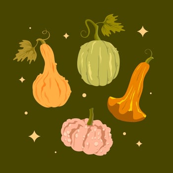 Cute autumn vibe set of various decorative pumpkins on a dark green background with stars. Great for autumn design, print, poster, greeting card, sticker vector