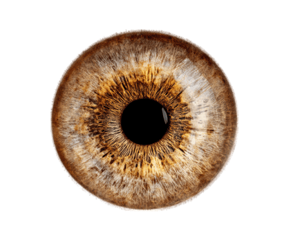 Detailed close up of brown eye showcasing intricate patterns and textures, emphasizing unique beauty of iris and pupil. image captures natural colors and features, evoking sense of wonder png
