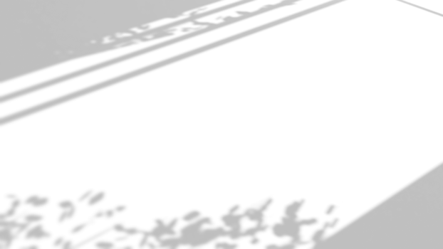 Realistic shadow overlay effect with leaves and window on transparent background png
