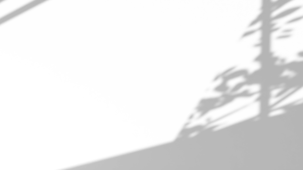 Realistic shadow overlay effect with leaves on window on transparent background png