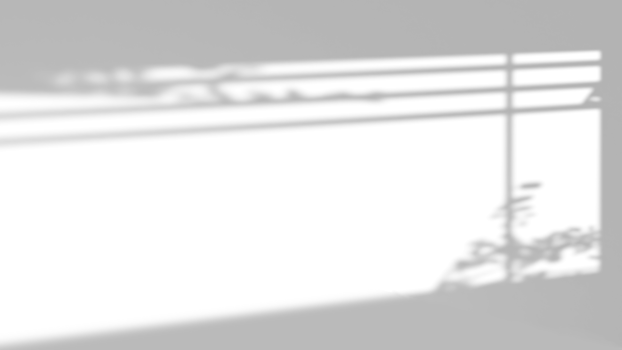 Realistic shadow overlay effect with leaves and window png