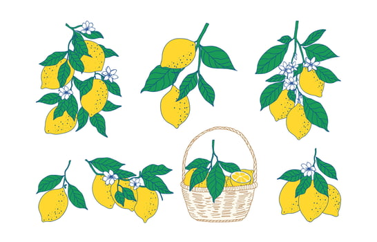 hand drawn various of vintage lemon in italian la dolce vita style vector