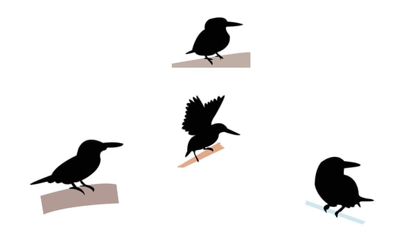 American pygmy kingfisher bird Silhouette Collection vector