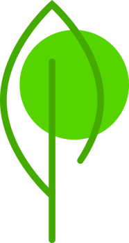 Green eco leaf tree png