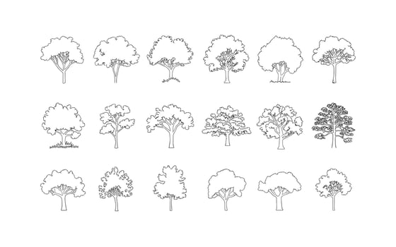 Line Art of Various Trees Outlines for Coloring Books, Educational Materials, or Landscape Design Illustrations in Black and White vector