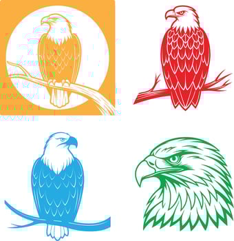 Vibrant Eagle Illustrations Four Different Colors and Styles A Collection of Patriotic and Wildlife Art vector