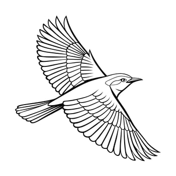 Detailed Line Art Illustration of a Bird in Flight vector