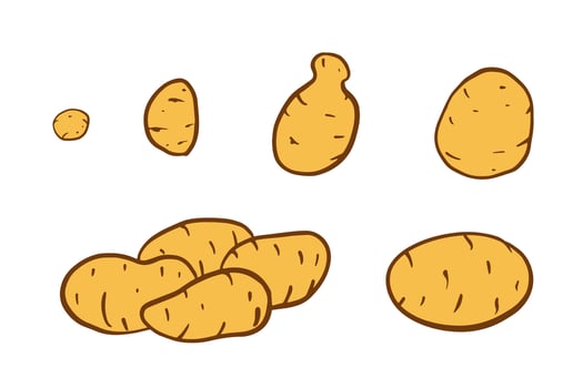 cartoon-style potatoes set, various sizes, individual tubers and small pile, hand drawn illustration isolated on white , earthy tones, bold clean lines vector
