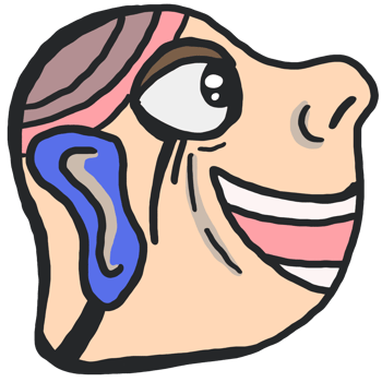 cartoon face with a smile png