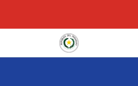 Paraguay National Flag Illustration on White Background vector