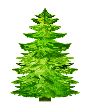 Watercolor christmas tree silhouette isolated png