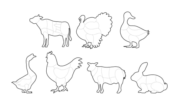 Set of Butcher Meat Cuts Poster Outline Collection, Chicken, Goat, Lamb, Rabbit, Duck, Chicken, Turkey, Goose meat cuts Line Art. Butchery Cattle Bbq, Posters groceries, butcher shop, meat store vector