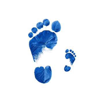 Surreal Footprints in Blue Leaves Depicting Family Bond on Isolated Transparent Scene png