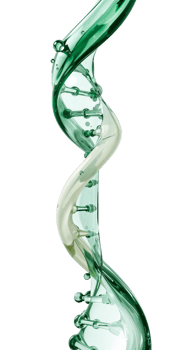 Abstract green fluid DNA strand on clean background representing genetic code clarity png