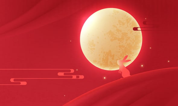 Rabbit looking at the moon vector
