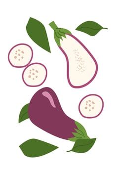 Colorful eggplant and sliced guava with leaves illustration vector