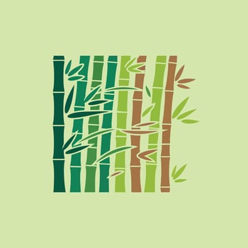 Stylized Bamboo Forest Illustration. vector