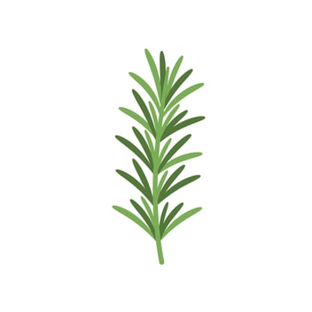 Illustration of Rosemary Sprig vector