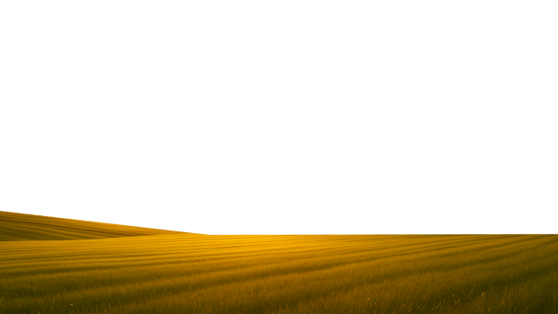 a field with grass and a sunset png