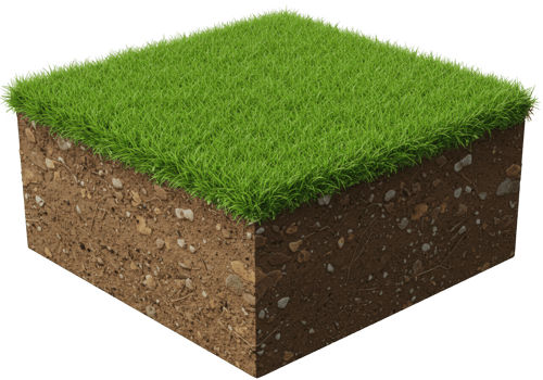 Detailed cross section of healthy green grass and soil isolated on transparent background png