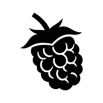 A stylized black blackberry icon exhibits a simple, isolated outline on a transparent backdrop vector