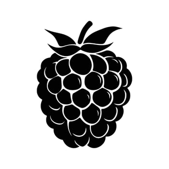 Black silhouette reveals a detailed raspberry with leaves against a white backdrop, isolated vector