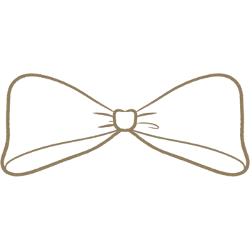 Minimal Brown Outline cute bow ribbon for coloring decoration celebrating party gift valentine coquette love png