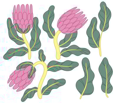 Colorful flowers and green leaves illustration vector
