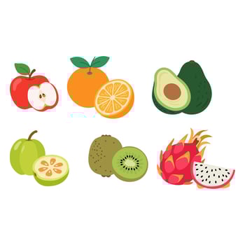 Fresh fruits illustration vector