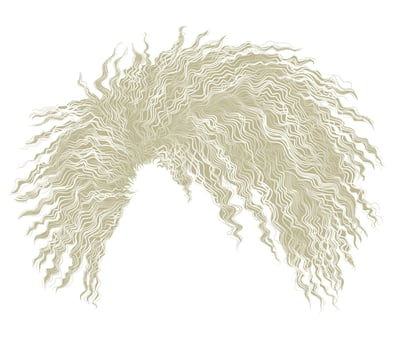 curly disheveled african hair blond vector
