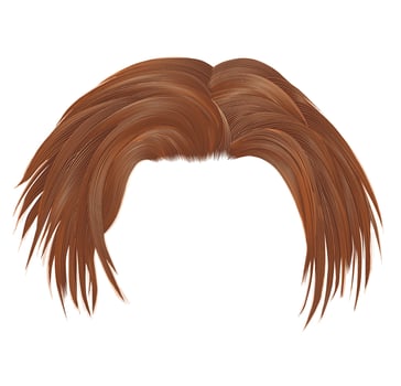 disheveled hairs brown colors with parting vector