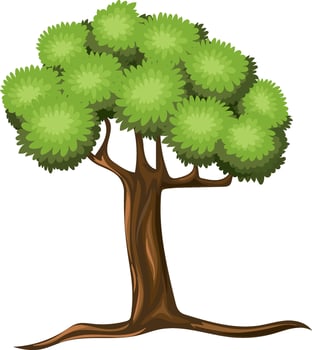 A Tree with Cartoon Style vector