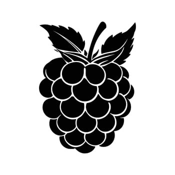 A stylized black raspberry silhouette with prominent leaves is displayed against a white background vector