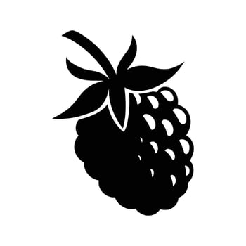 A single blackberry is presented as a solid black silhouette on a white background vector