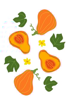 Colorful butternut squash pattern with green leaves and yellow flowers vector